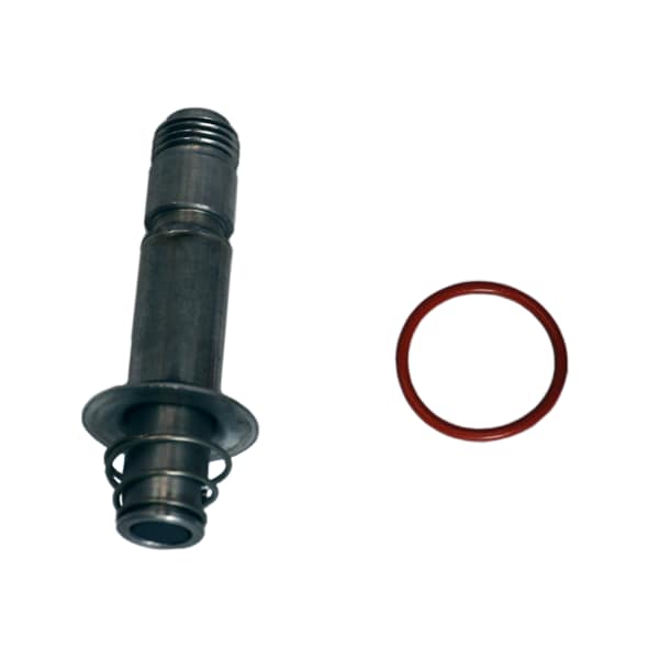 Gc Valves Rebuild kit, S31 series, 1/8" stainless, buna elastomerics